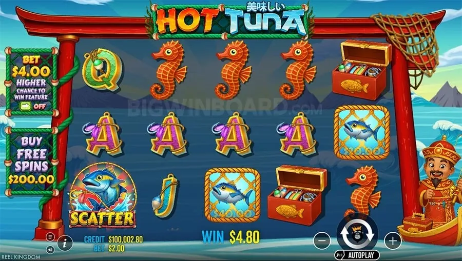 555taya Gambling Glossary of Terms